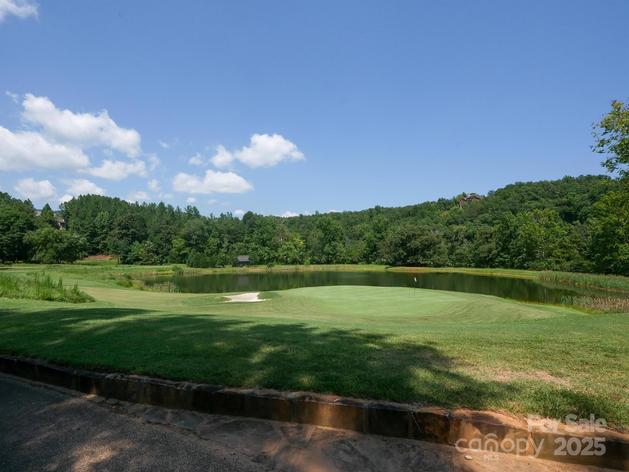 0 Deep Gap Rd Mill Spring East, Unit 59 Mill Spring, NC 28756 - Photo 16 of 25