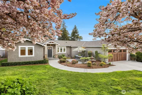 a view of a garden with a tree