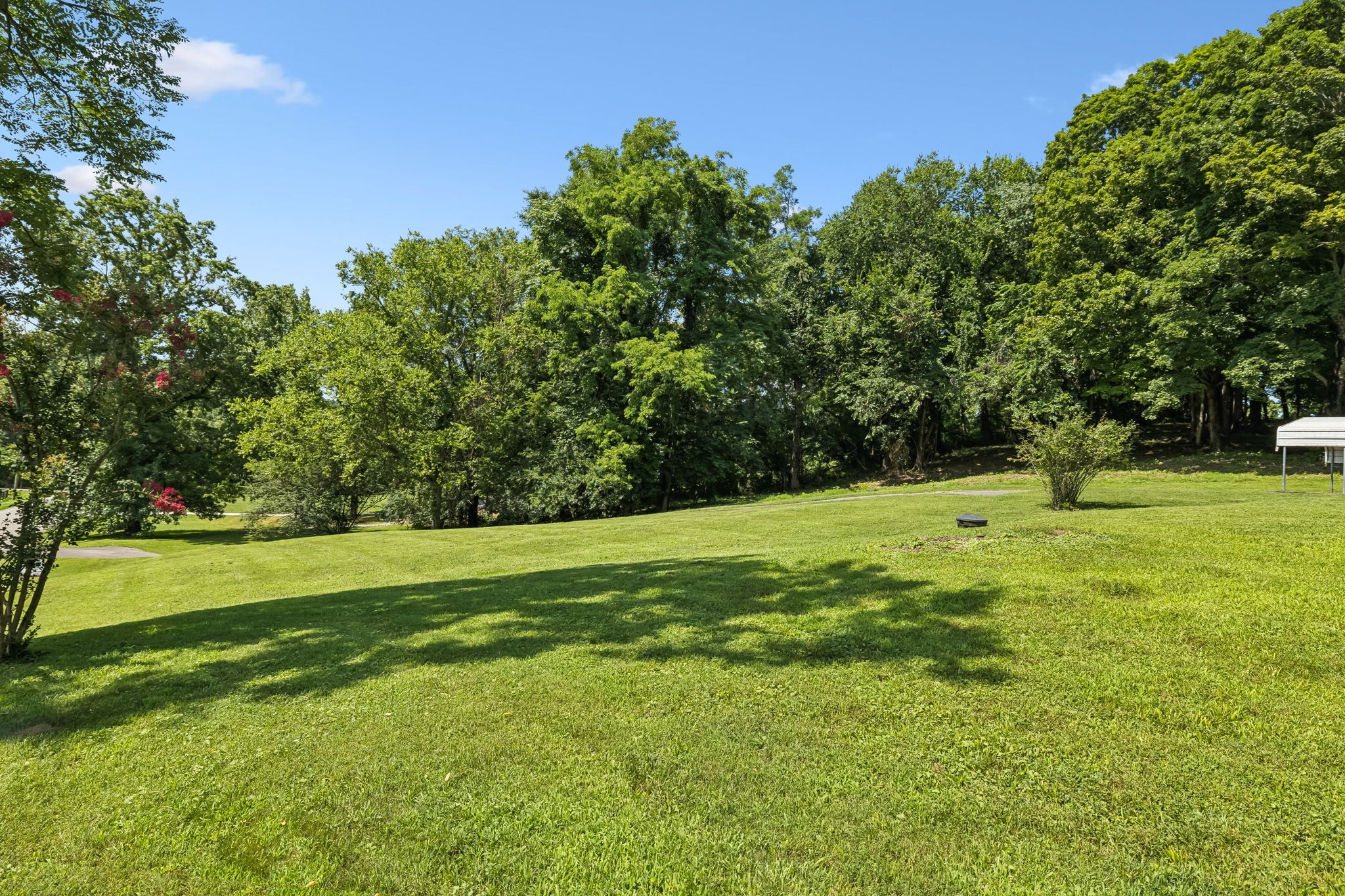 6653 Pinkston Road College Grove, TN 37046 - Photo 5 of 74 Gallery Image 5