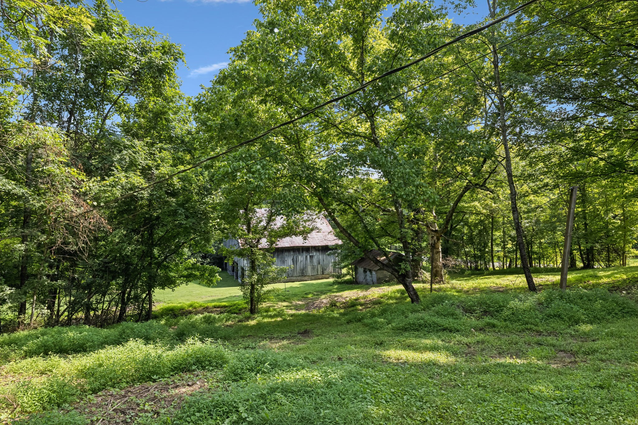 6653 Pinkston Road College Grove, TN 37046 - Photo 56 of 74 Gallery Image 56