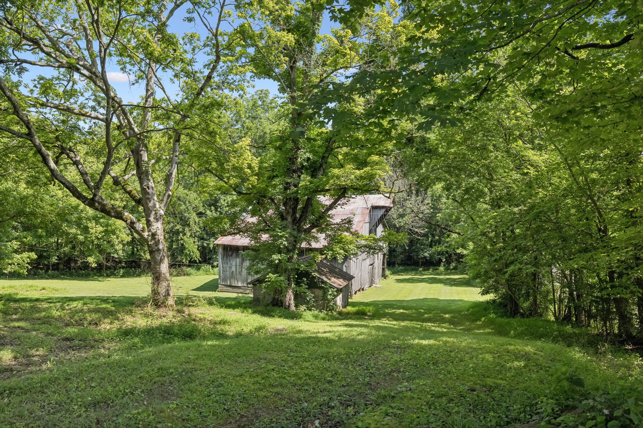 6653 Pinkston Road College Grove, TN 37046 - Photo 58 of 74 Gallery Image 58