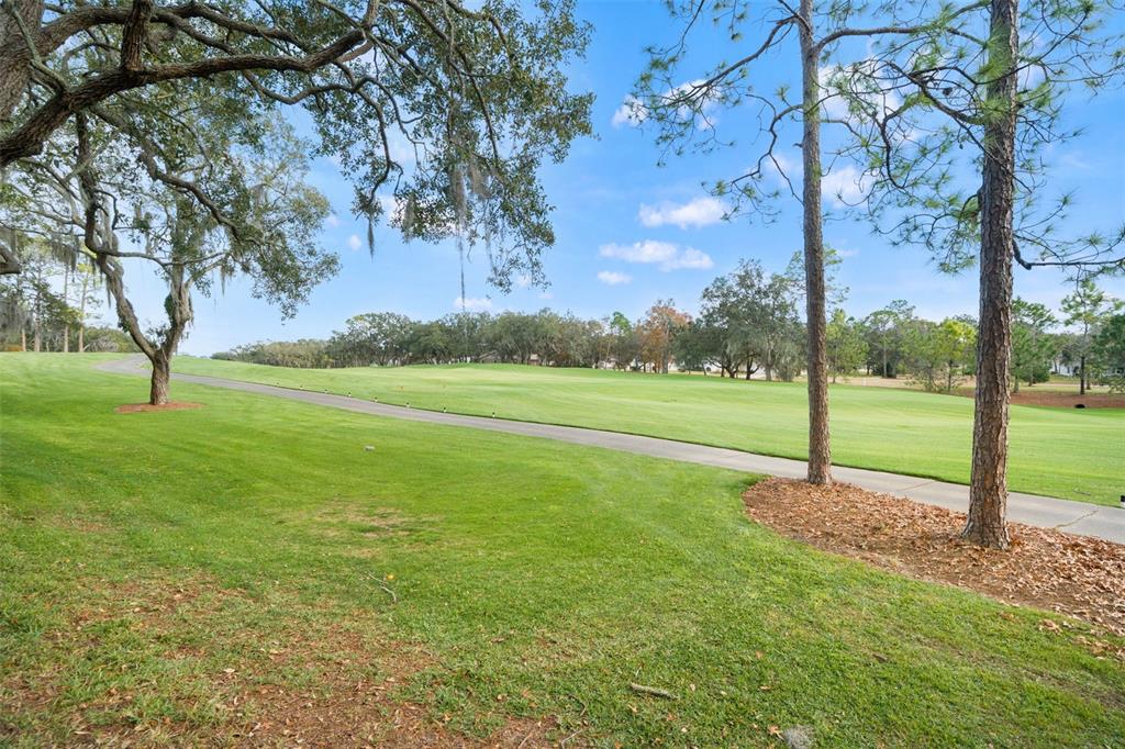 7354 Woodhollow Road Spring Hill, FL 34606 - Photo 38 of 47 a view of a field with trees in the background