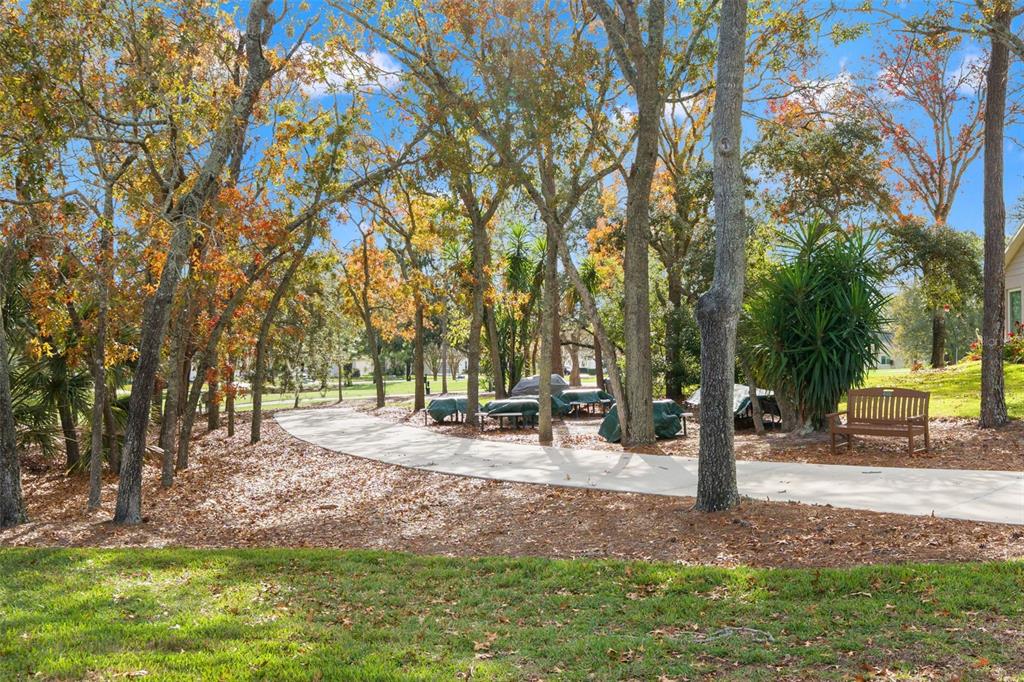 7354 Woodhollow Road Spring Hill, FL 34606 - Photo 46 of 47 a view of a park with bench and trees