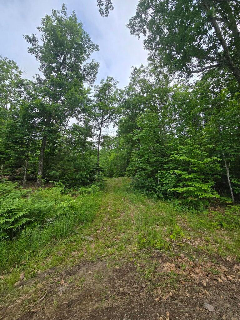 1083 N Road Newburgh, ME 04444 - Photo 49 of 59 1083 North Rd_49