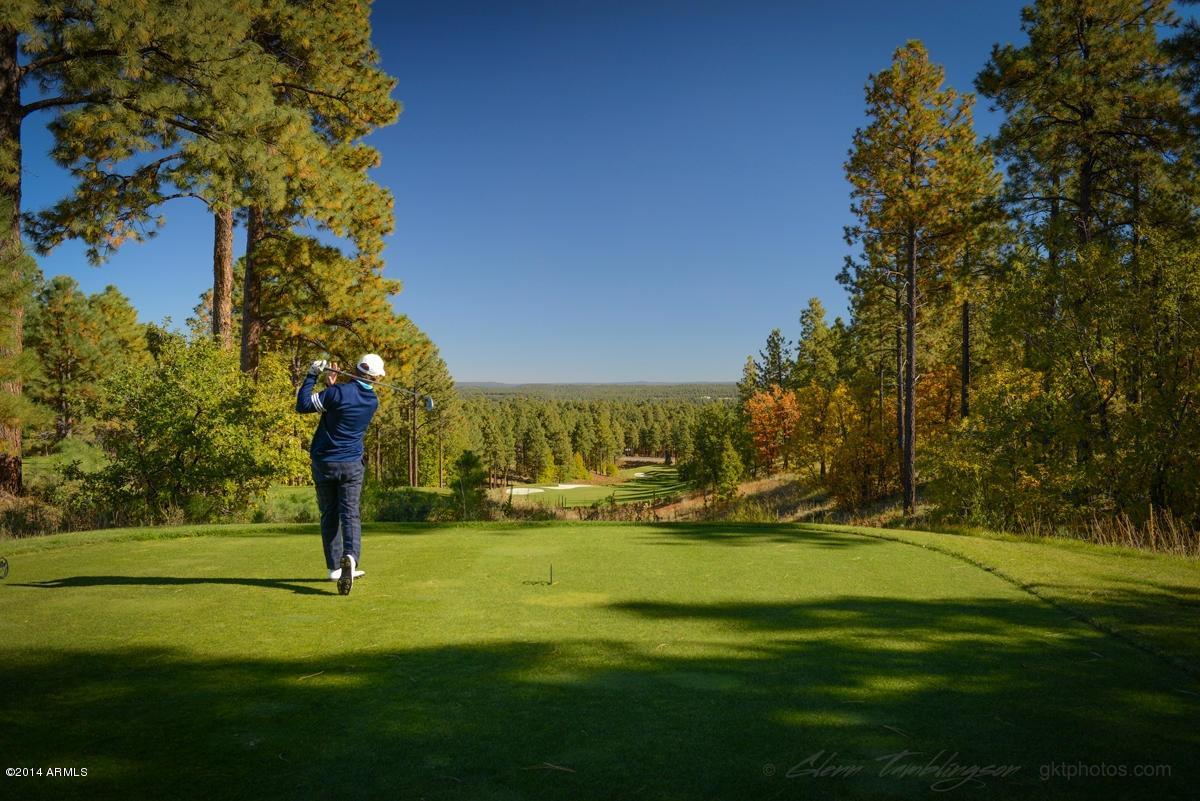 3935 South Flagstaff Ranch Road, Unit 207 Flagstaff, AZ 86005 - Photo 26 of 34 20141004192947759177000000-o