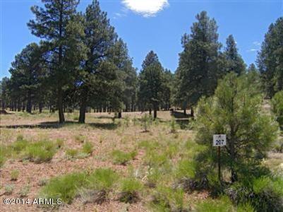 3935 South Flagstaff Ranch Road, Unit 207 Flagstaff, AZ 86005 - Photo 32 of 34 FR207