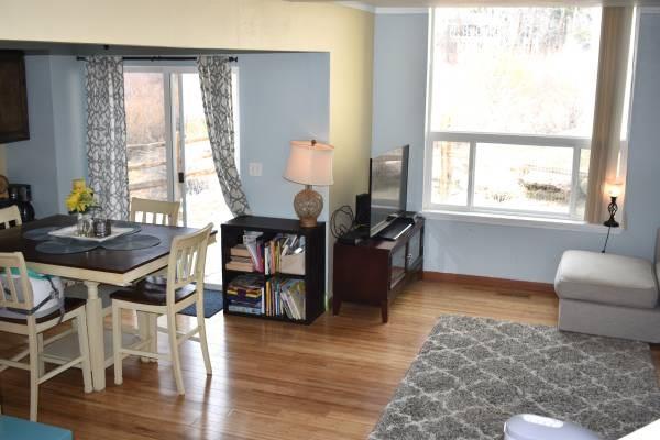 772 Alpine Road Dillon, CO 80435 - Photo 23 of 24 a living room with furniture and a window