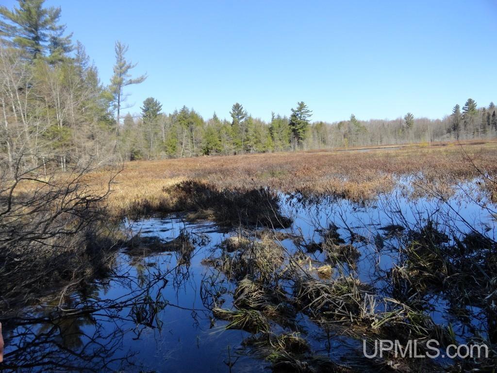 Tbd Crossover Road Munising, MI 49862 - Photo 2 of 2