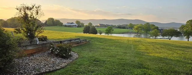 a view of a garden in front of a house