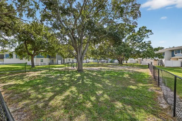 a view of yard with trees