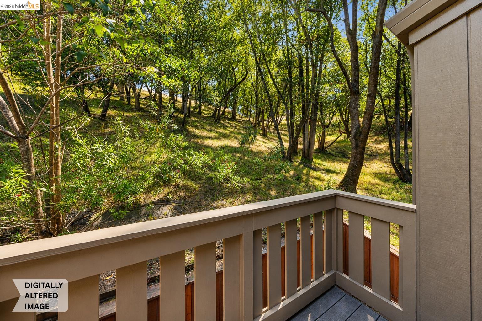 261 Redhawk Road Novato, CA 94949 - Photo 43 of 47 Outdoor deck with composite flooring and painted railing, surrounded by natural landscaping and mature trees