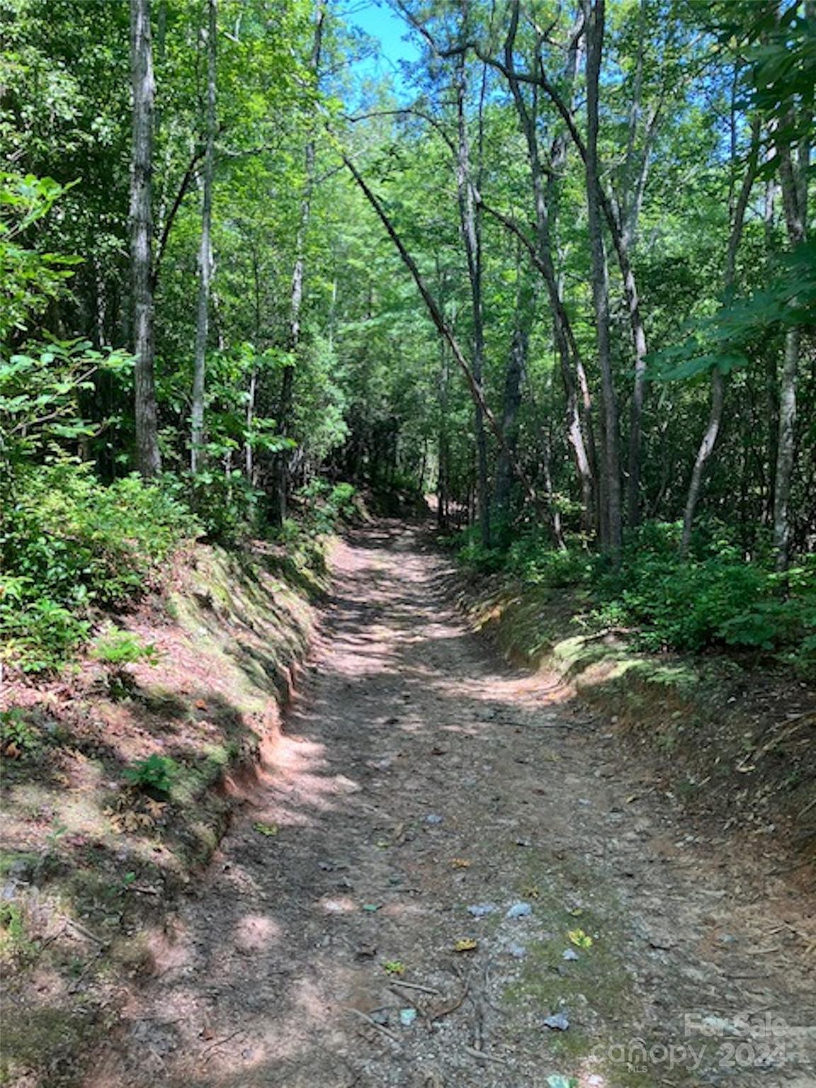 a view of a dirt road with trees in the background