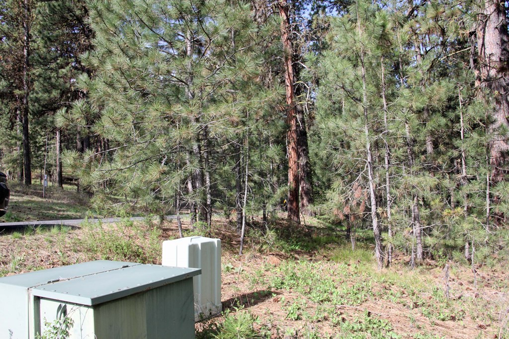 Tbd Hot Springs Road, Unit 6 New Meadows, ID 83654 - Photo 3 of 12