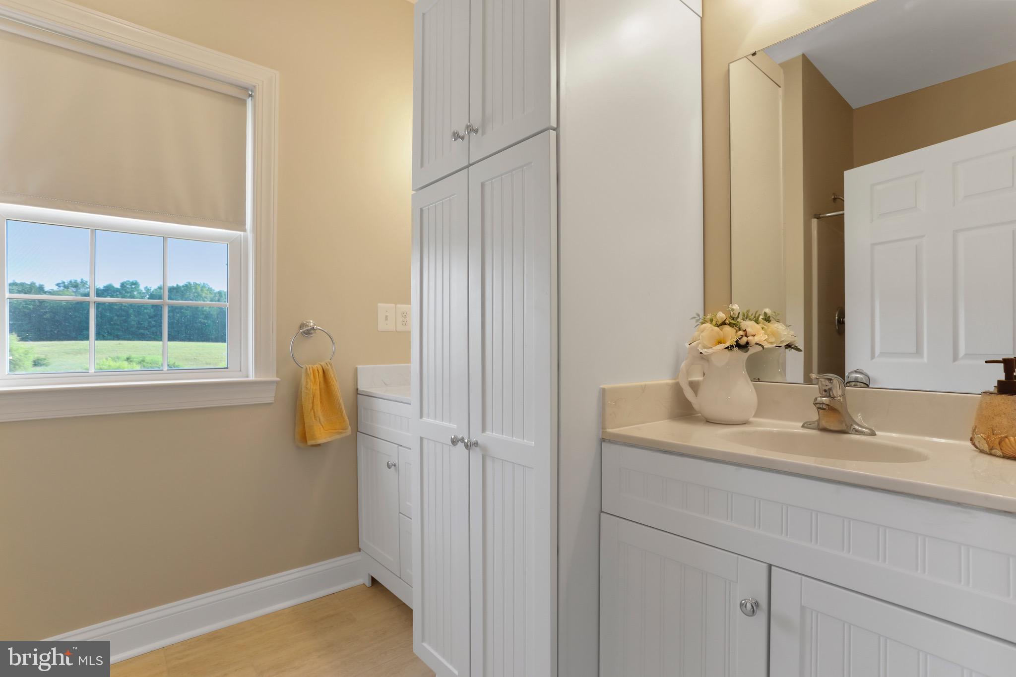 2787 Reliance Road Middletown, VA 22645 - Photo 38 of 53 master bathroom