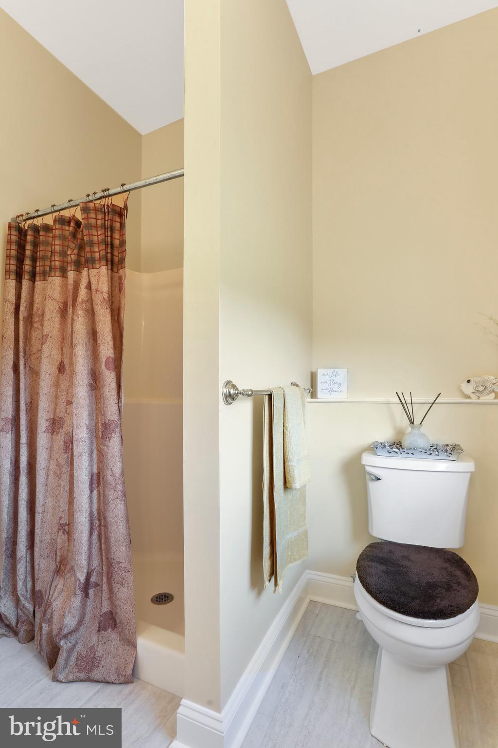 2787 Reliance Road Middletown, VA 22645 - Photo 39 of 53 Master bathroom