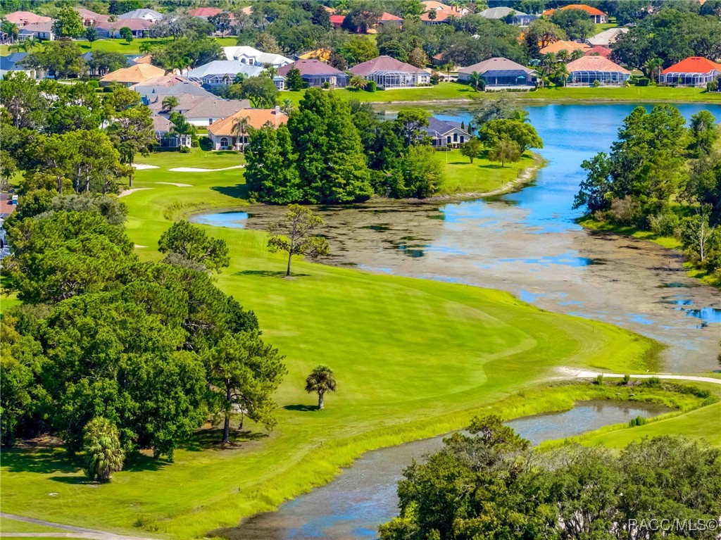 10148 Duffy Circle Weeki Wachee, FL 34613 - Photo 13 of 75
