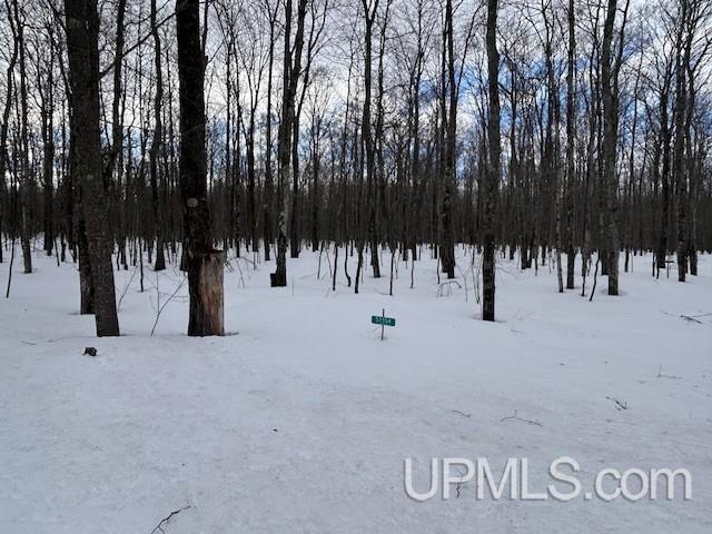 53554 North Superior Road Houghton, MI 49931 - Photo 11 of 41