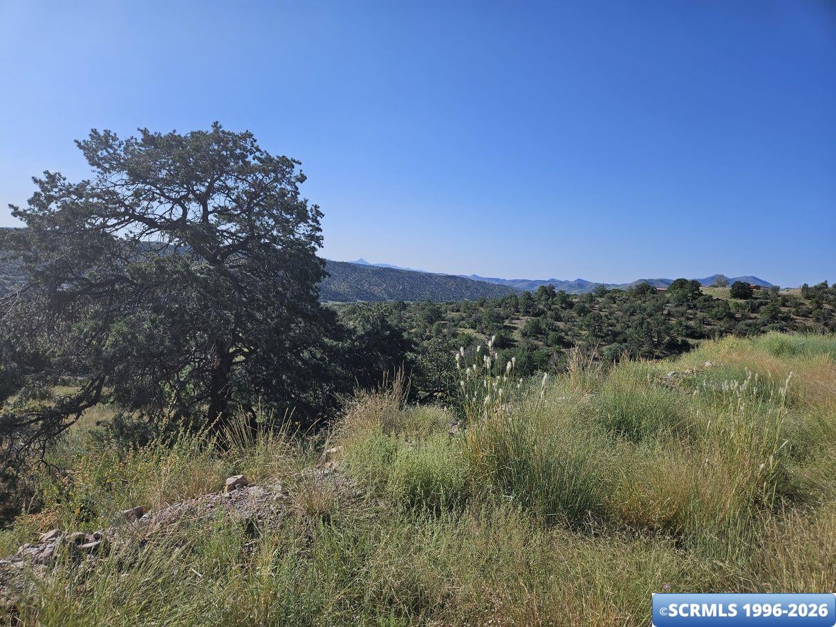 96 San Thomas Road Mimbres, NM 88049 - Photo 17 of 19 Gallery Image 17