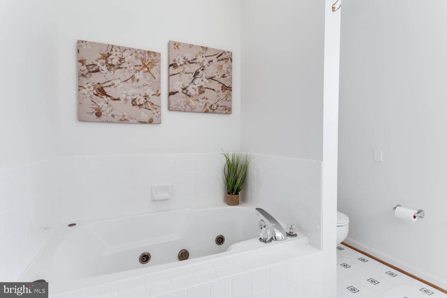 17370 Rock Point Road Newburg, MD 20664 - Photo 35 of 71 Jetted tub