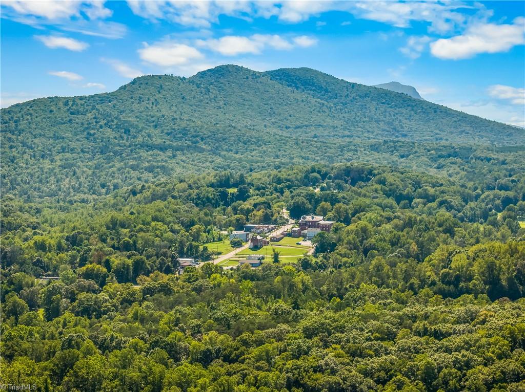 0 Sheppard Mill Road Danbury, NC 27016 - Photo 6 of 10 Gallery Image 6