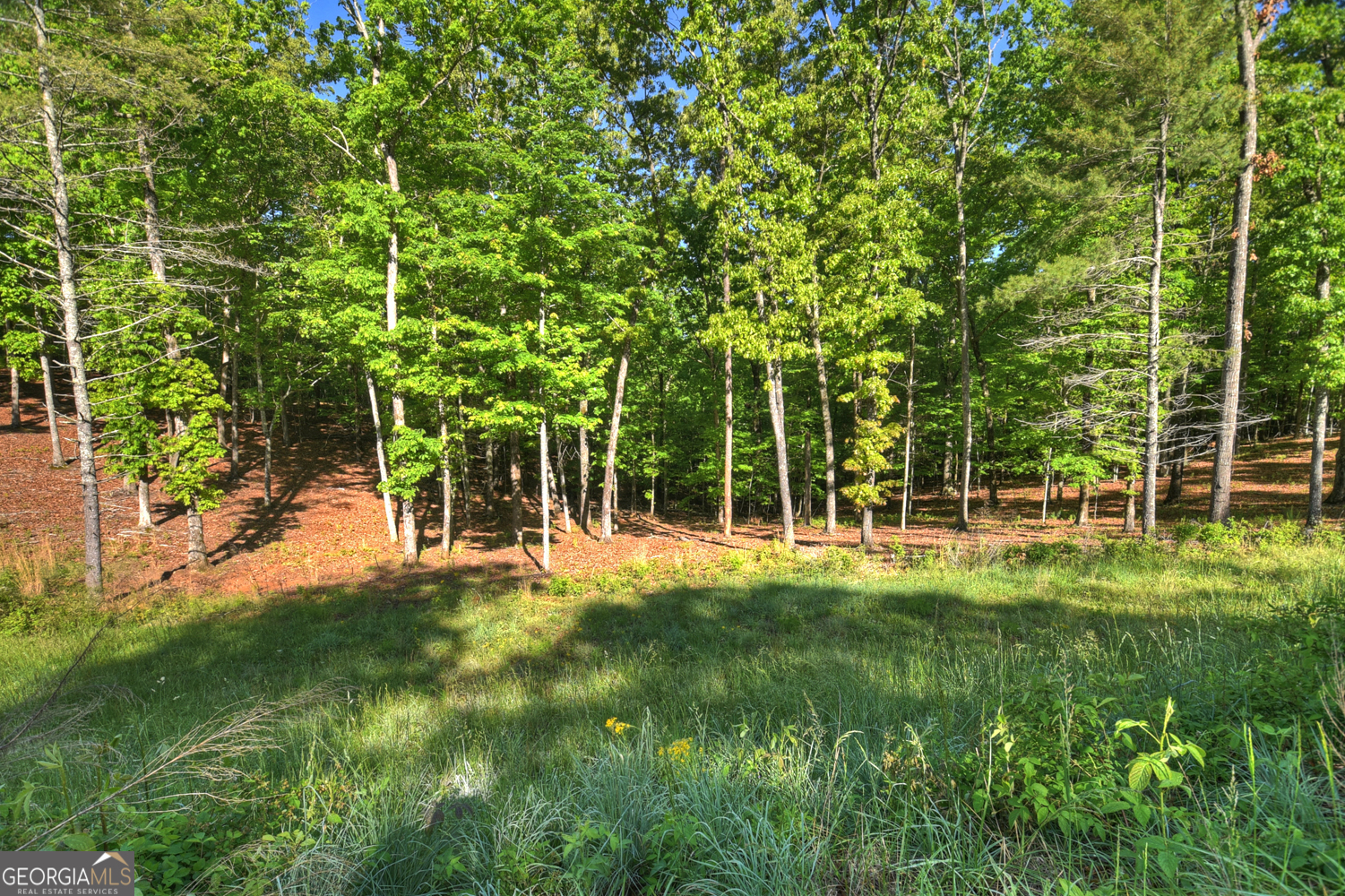 Lot 41 Ridge Drive Morganton, GA 30560 - Photo 29 of 34