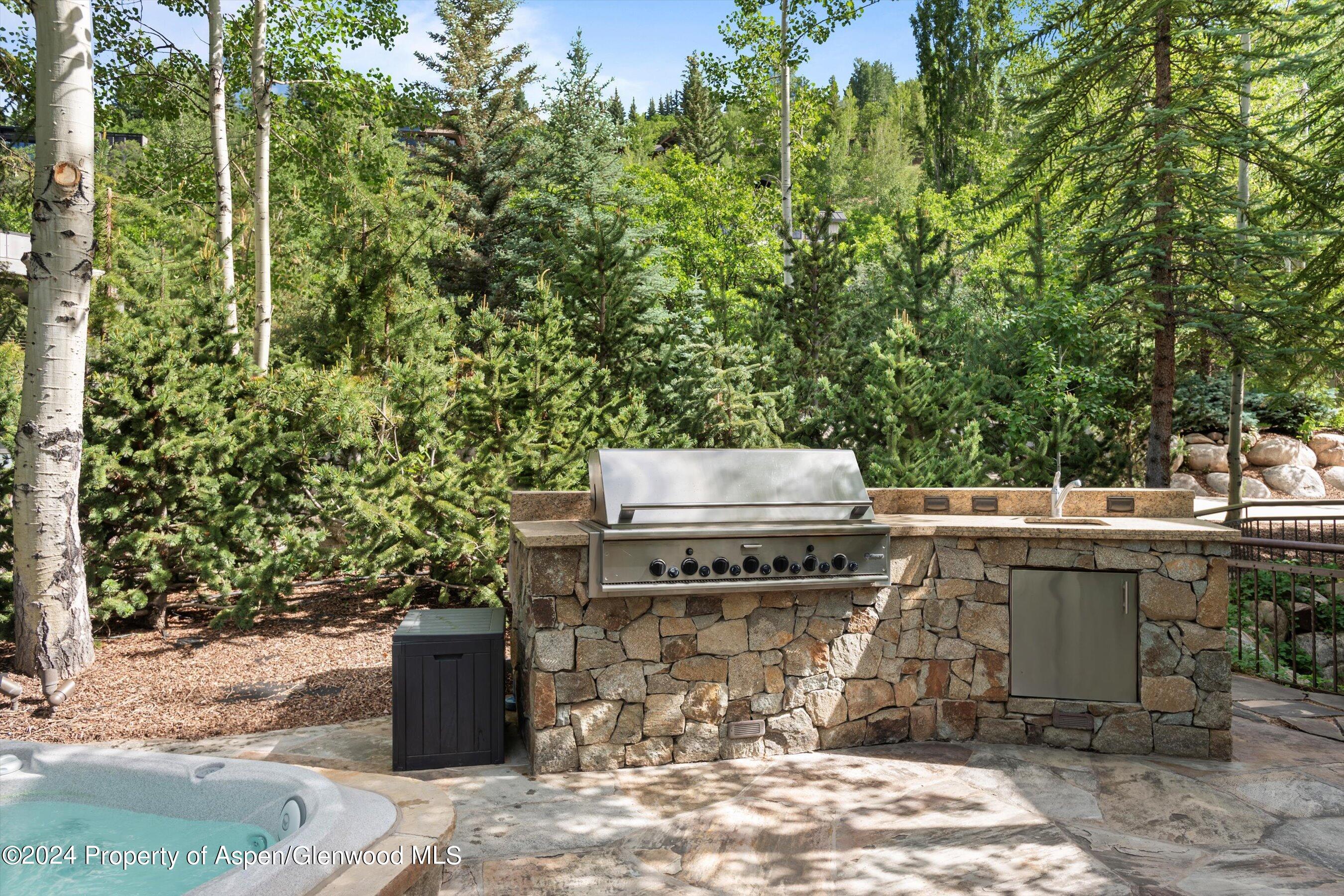 27 Nighthawk Drive Aspen, CO 81611 - Photo 44 of 61 a view of a yard with an outdoor seating
