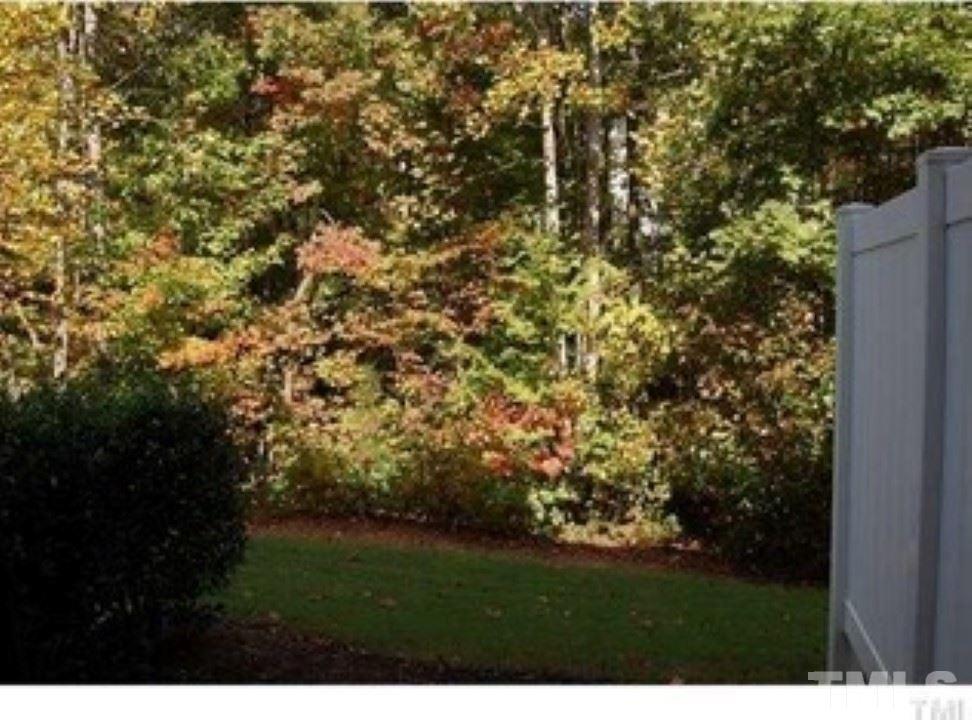 8808 Orchard Grove Way Raleigh, NC 27612 - Photo 4 of 17 Gallery Image 4