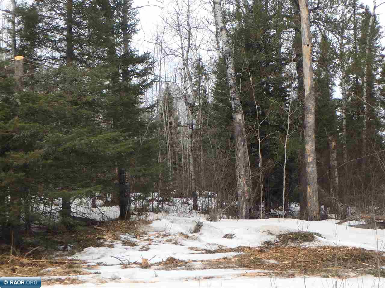 7127 Dallas Road Embarrass, MN 55732 - Photo 1 of 10