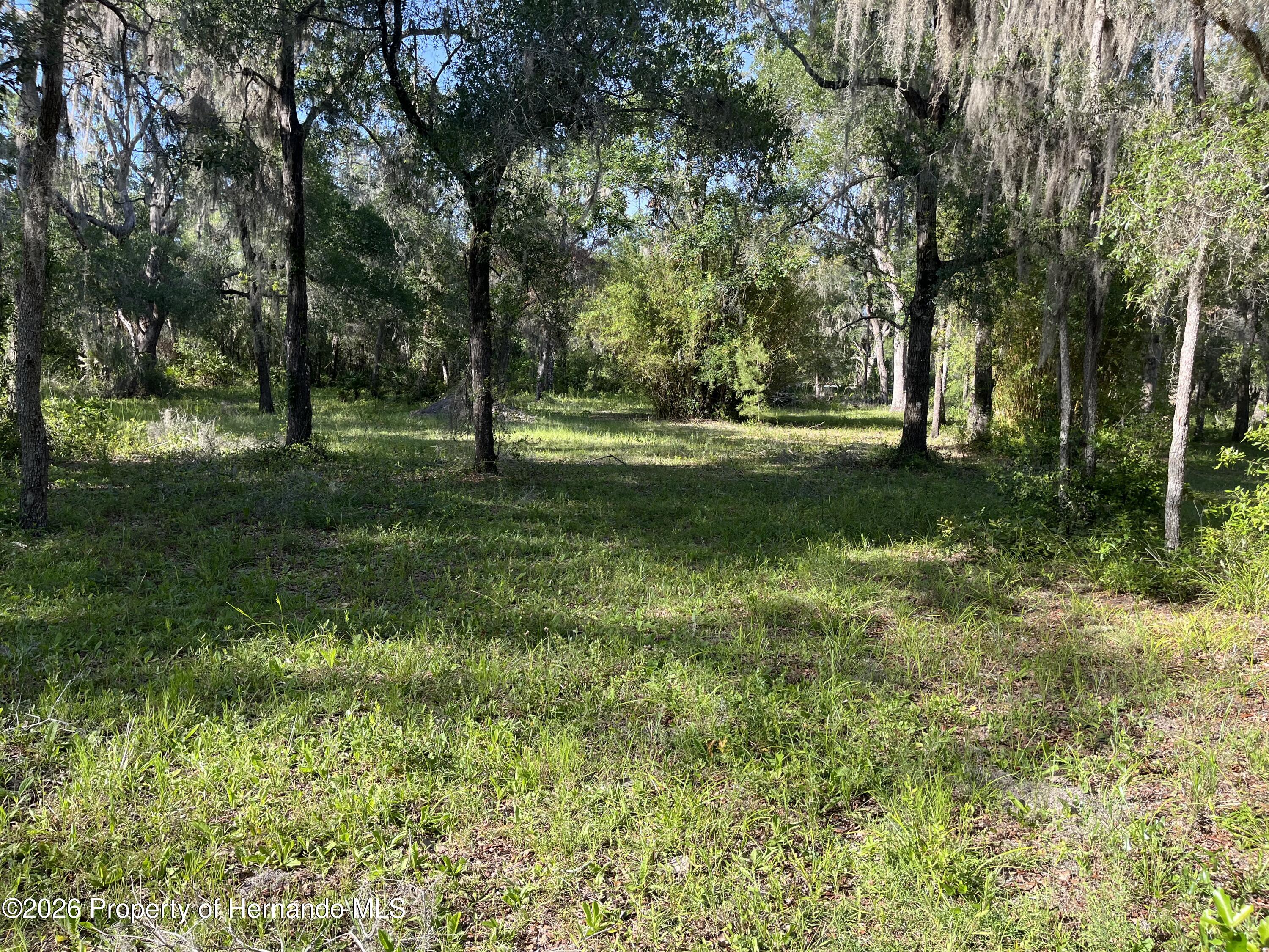 16305 Wiscon Road Brooksville, FL 34601 - Photo 23 of 33 Gallery Image 23