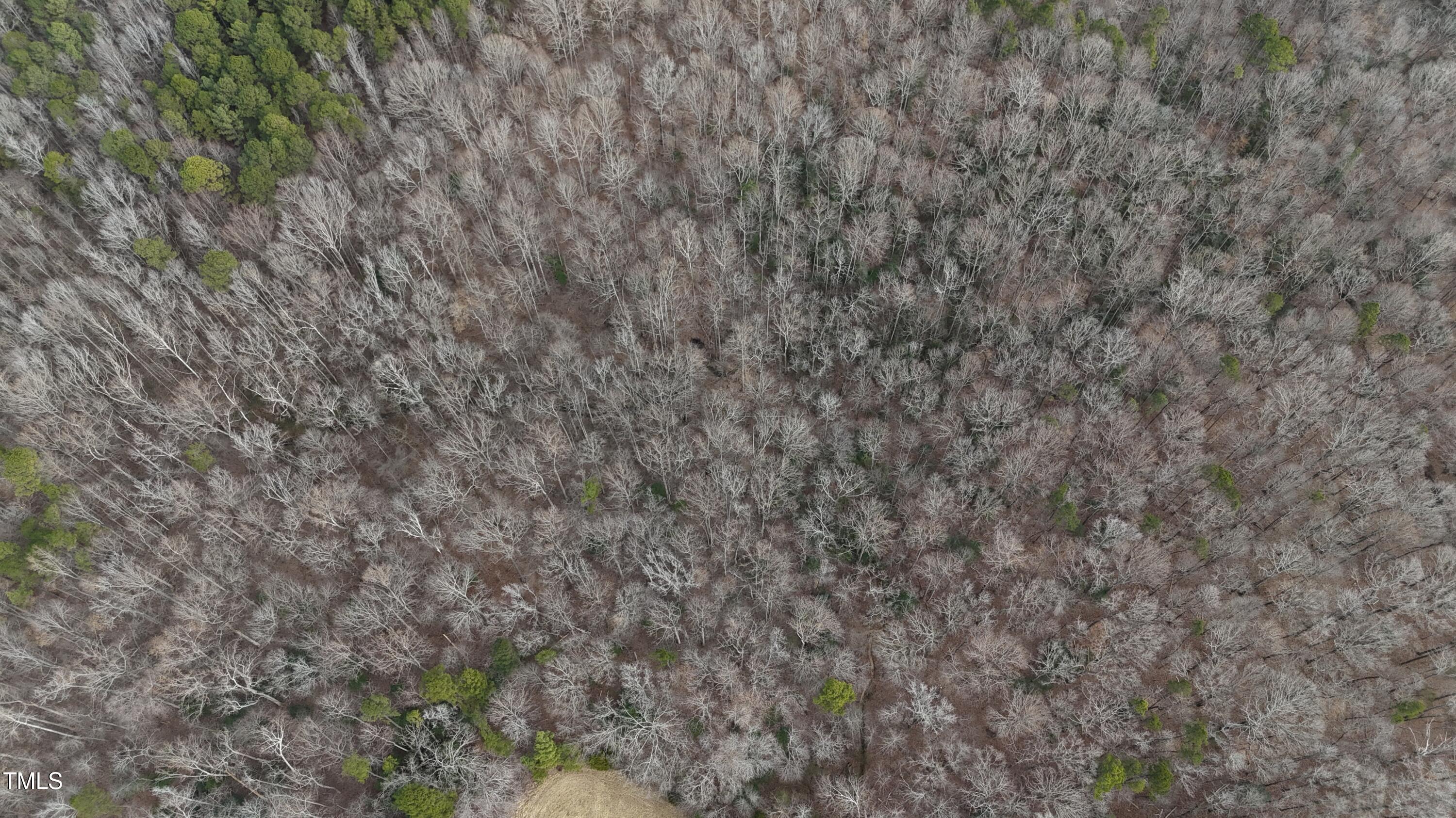 Tbd Siler City Snow Camp Road Siler City, NC 27344 - Photo 10 of 56 DJI_20250130125956_0064_D