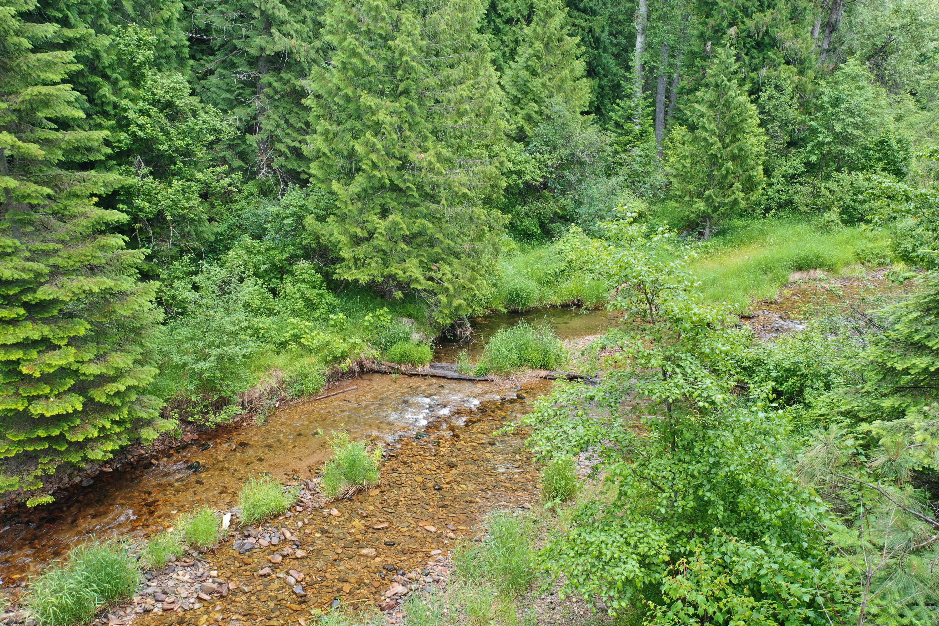 Trout Creek