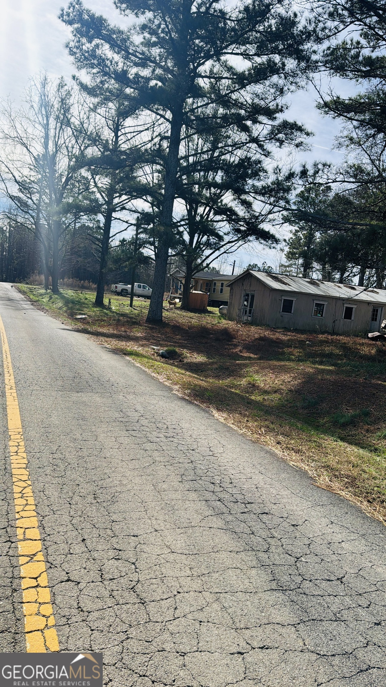 508 McKibben Road Buchanan, GA 30113 - Photo 3 of 20 a view of a yard with large trees