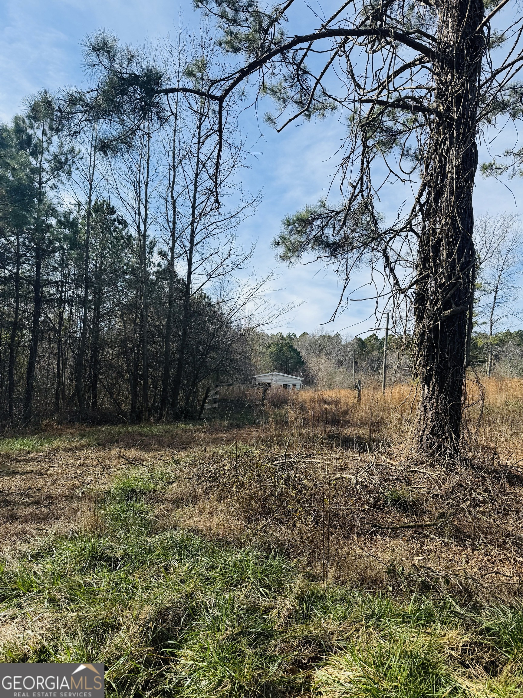 508 McKibben Road Buchanan, GA 30113 - Photo 5 of 20 a view of a yard with a tree