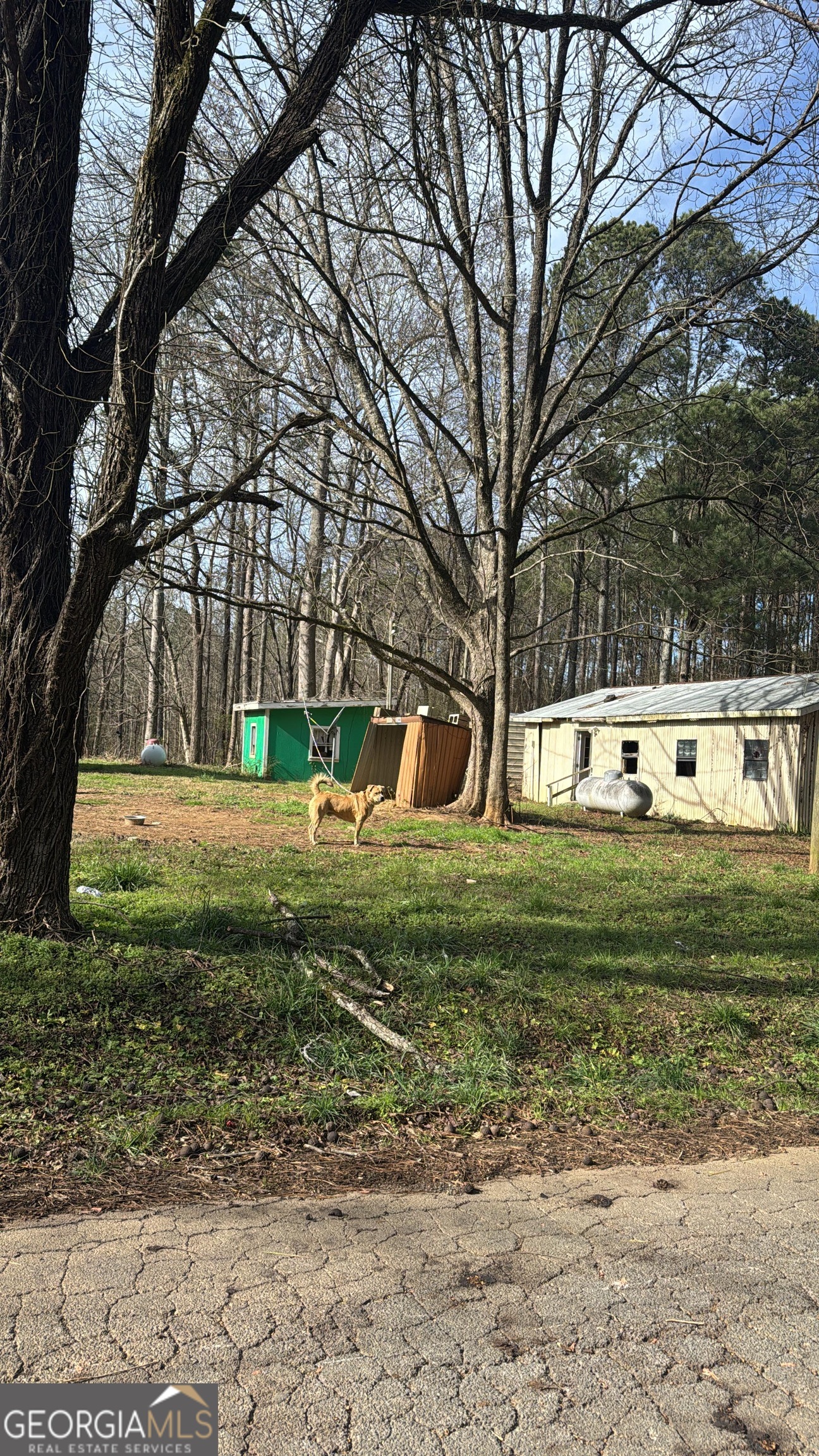 508 McKibben Road Buchanan, GA 30113 - Photo 6 of 20 a view of a house with a yard