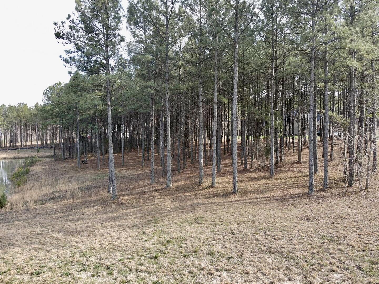 179 High Point Lane Jasper, TN 37347 - Photo 13 of 91 2024-03-21-16-11-50-197