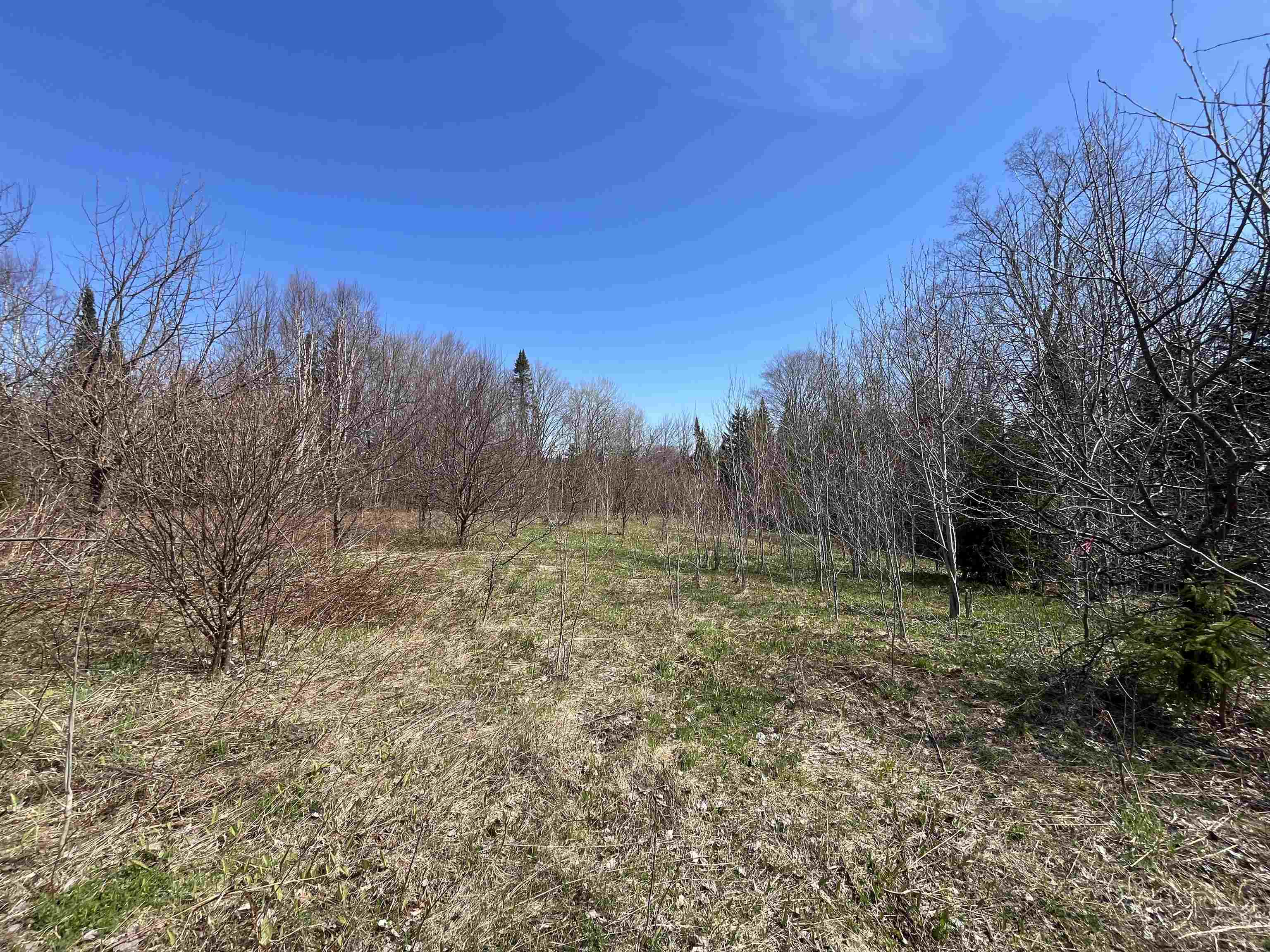 980 Coles Road Westmore, VT 05860 - Photo 9 of 12