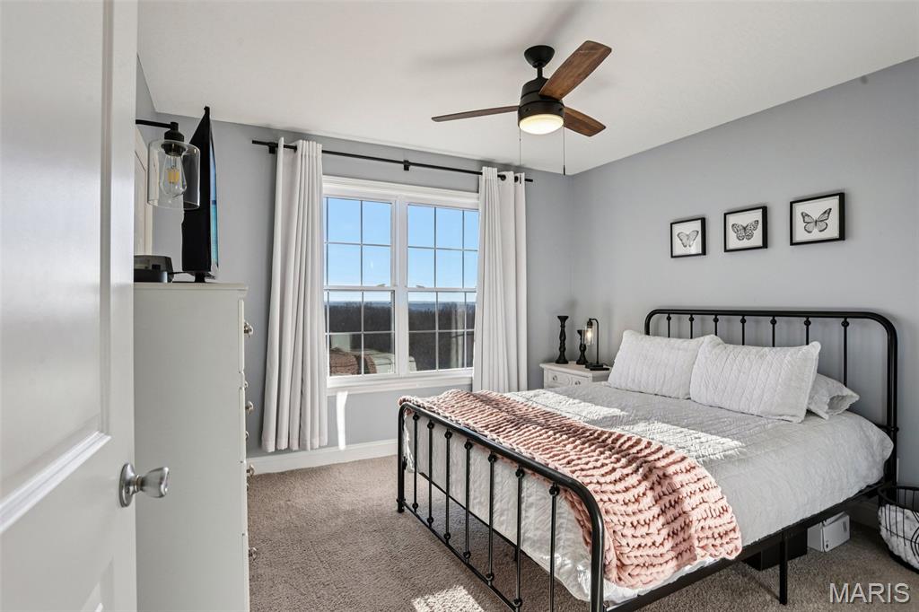 15375 State Rd DD Festus, MO 63028 - Photo 11 of 63