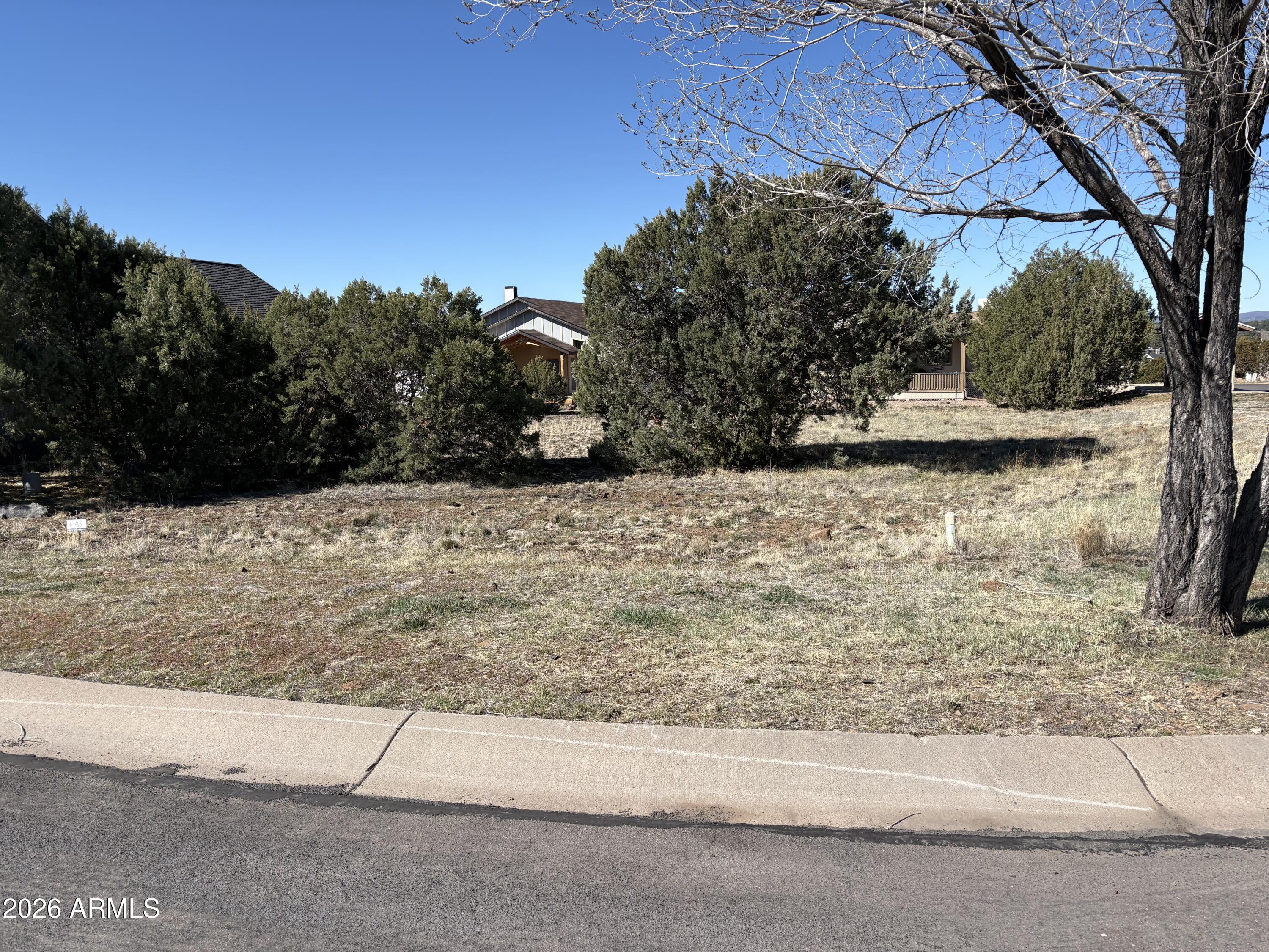 a view of a yard with a tree
