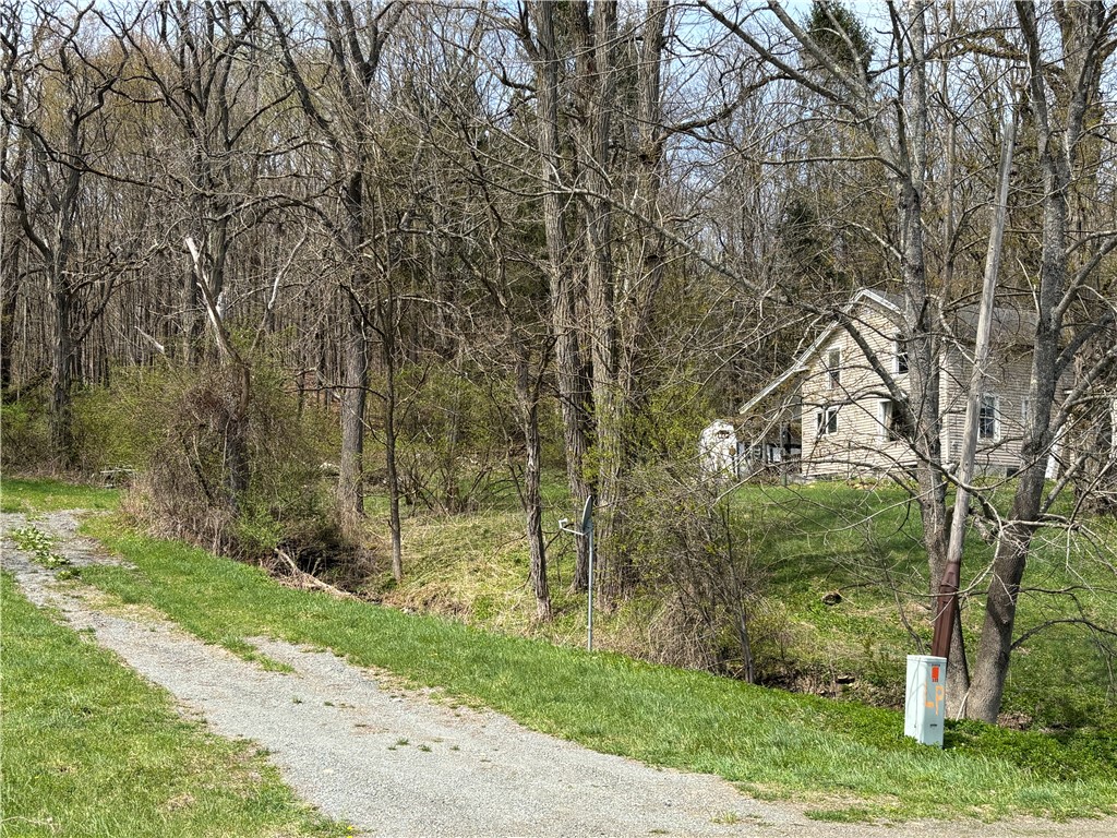 694 Wilber Lake Road Oneonta, NY 13820 - Photo 3 of 22