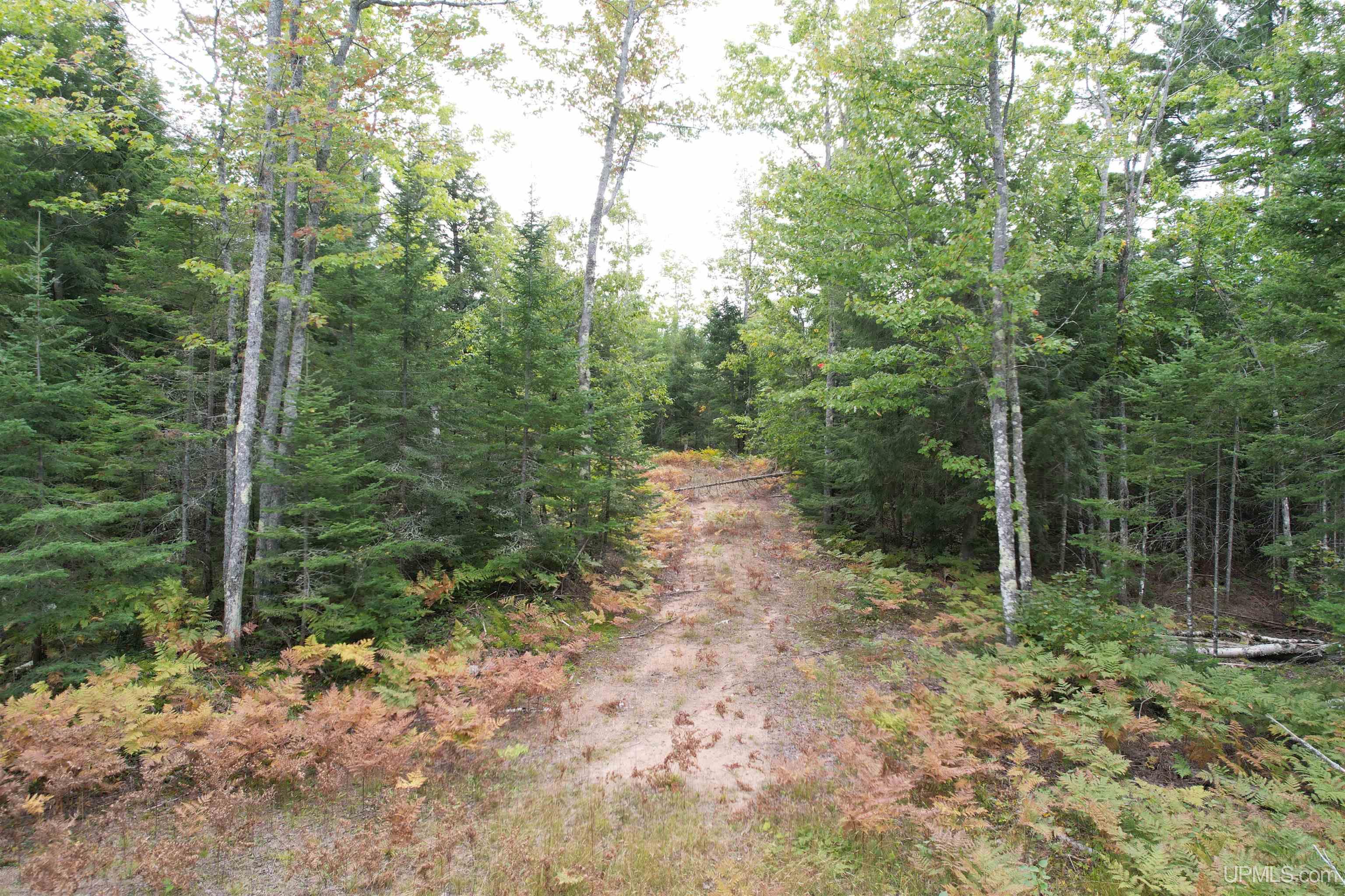 Tbd Evergreen Road Toivola, MI 49965 - Photo 23 of 62