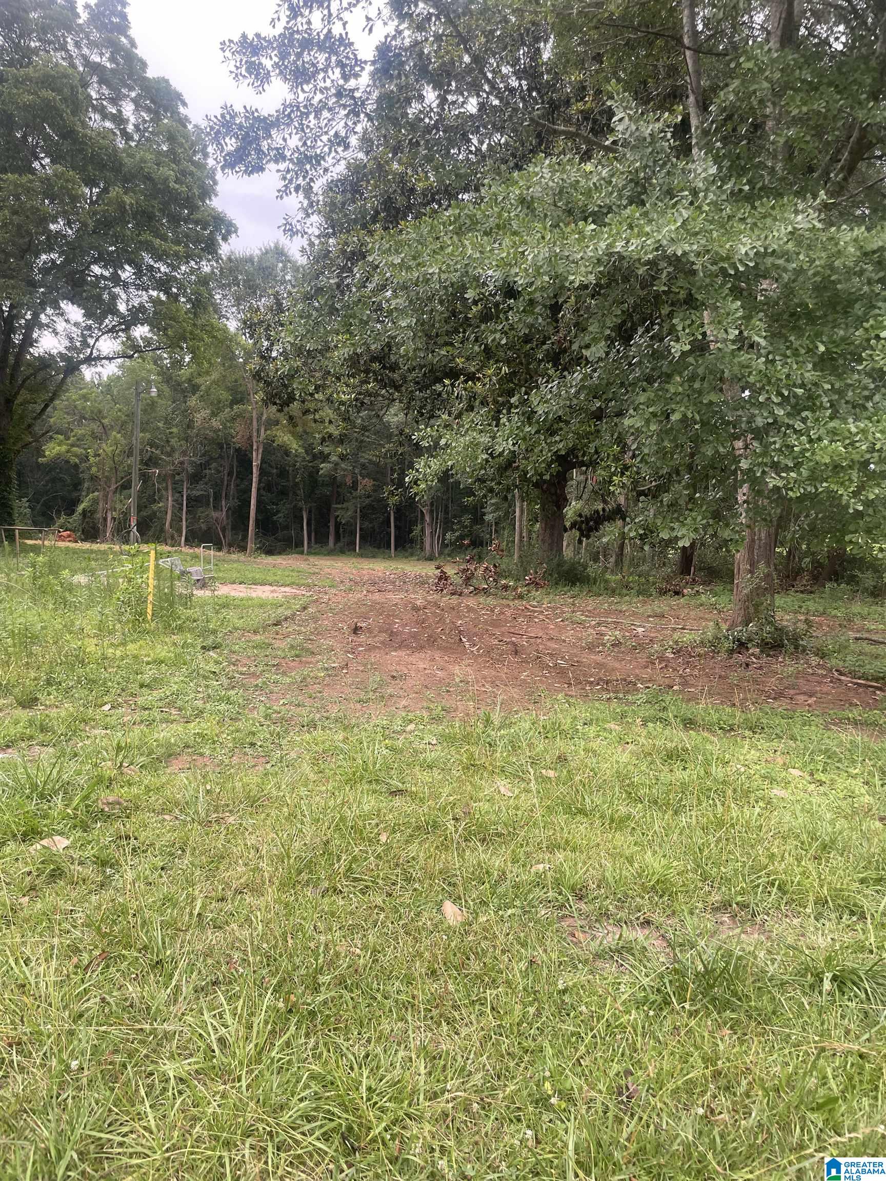 1444 Main Street, Unit CLEARED Roanoke, AL 36274 - Photo 1 of 5