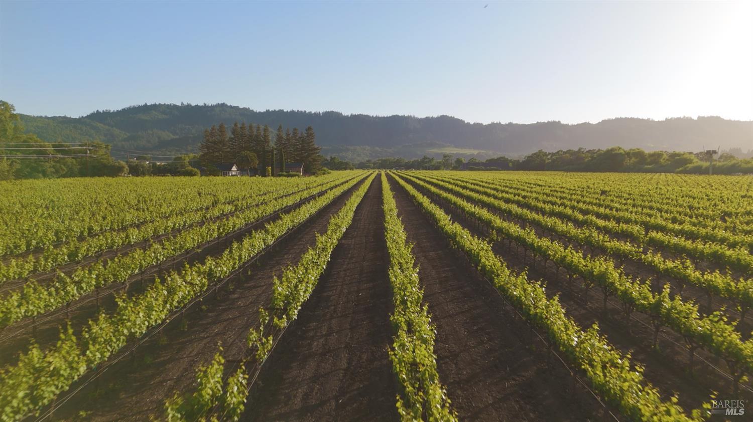 1300 Yount Mill Road Napa, CA 94558 - Photo 9 of 12