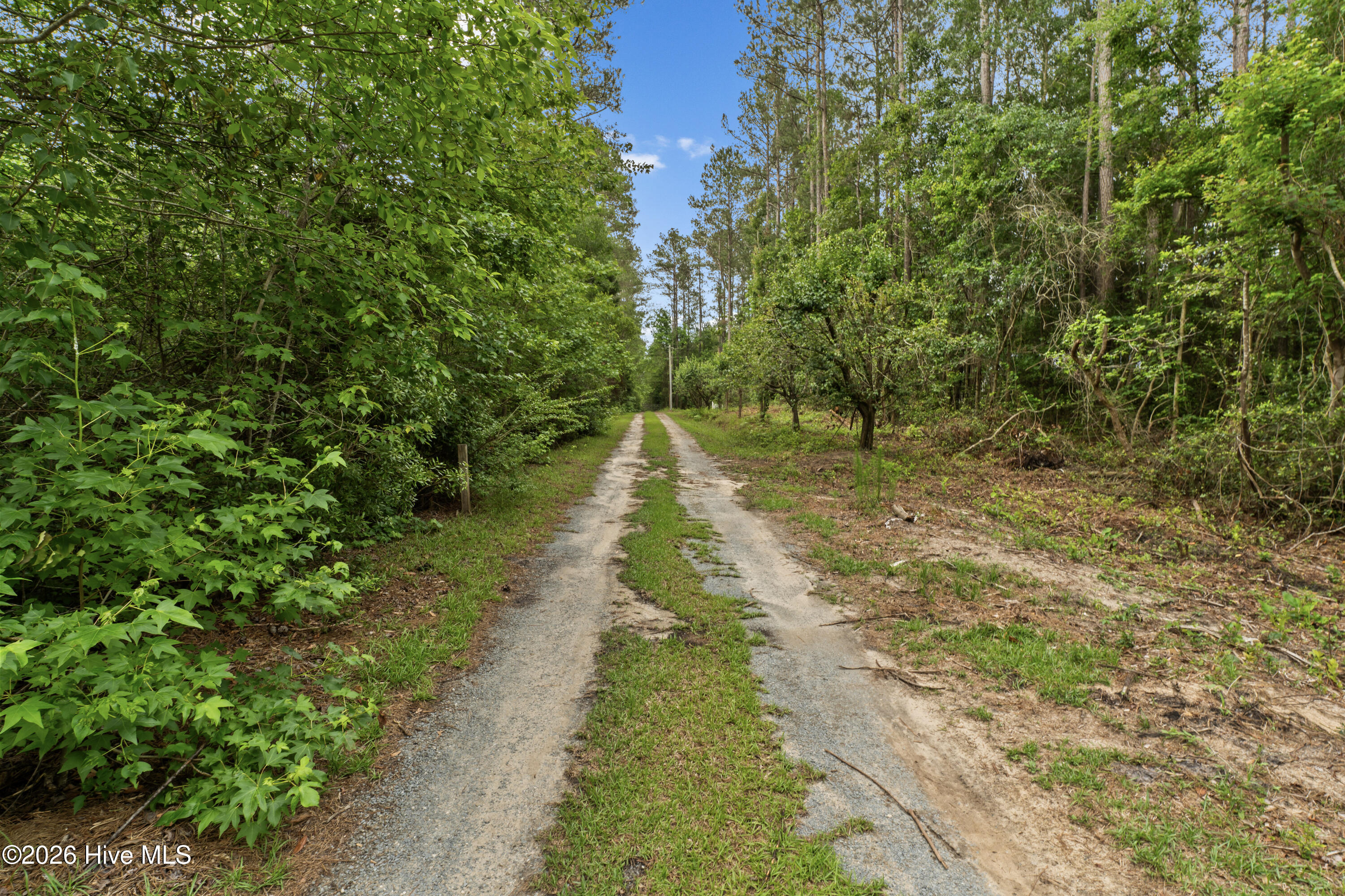 7358 Ivanhoe Road Ivanhoe, NC 28447 - Photo 36 of 38 2-DSC06503