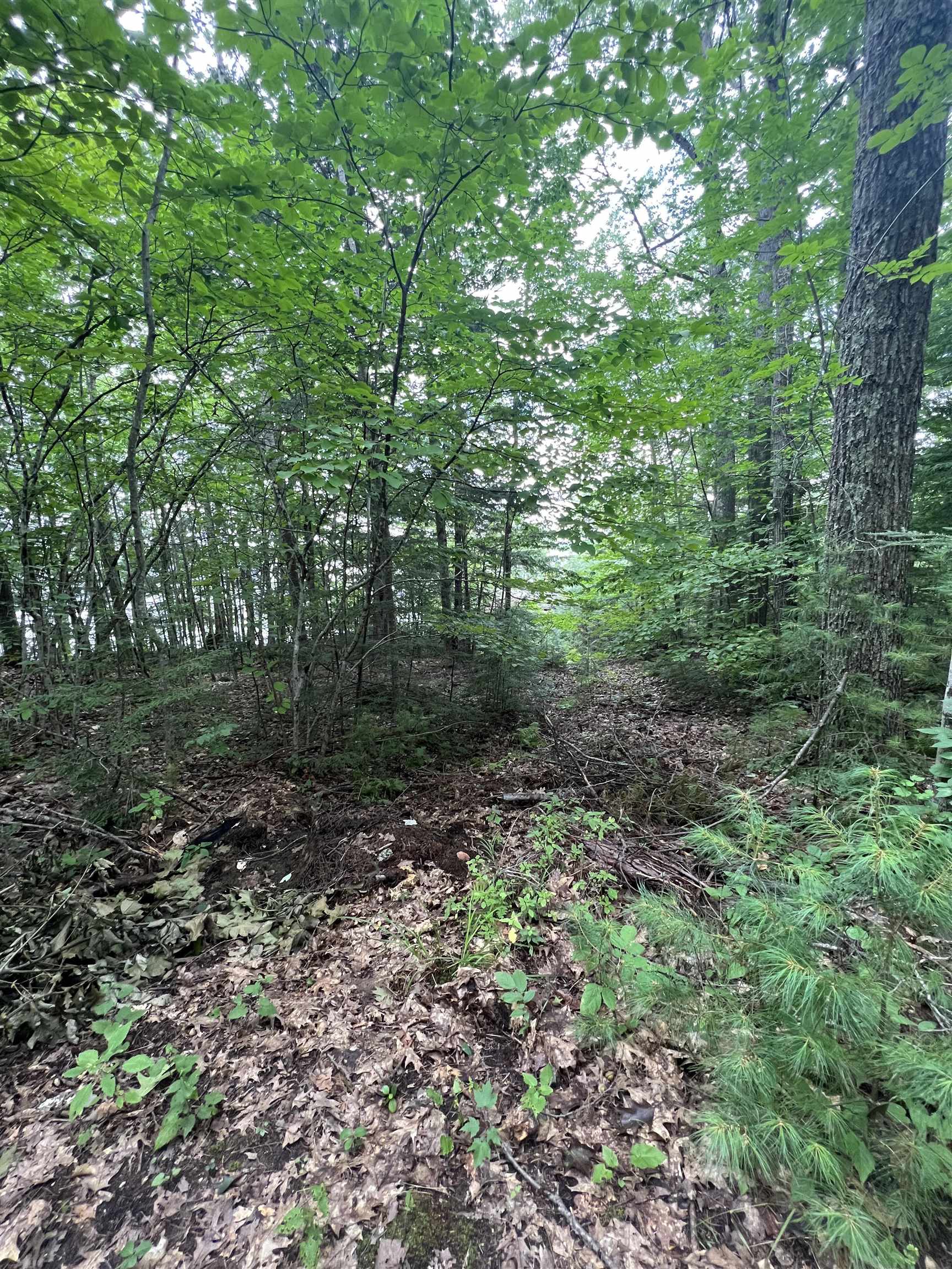 48 Island View Road Wolfeboro, NH 03894 - Photo 1 of 1