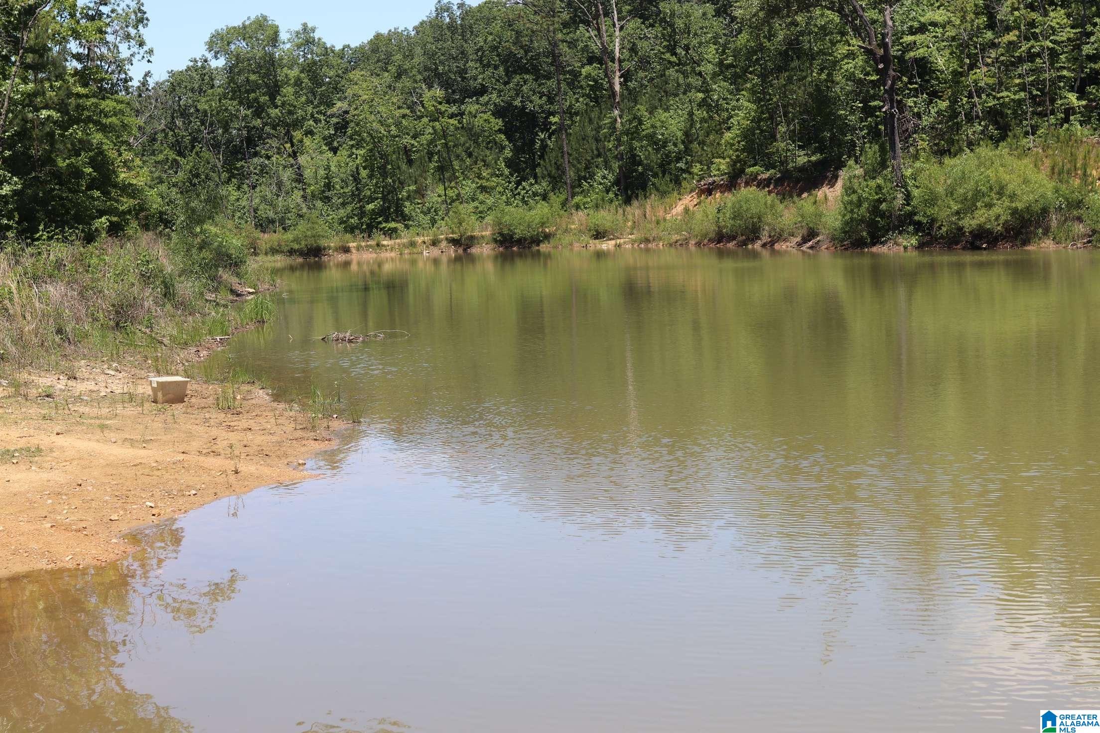 2930 Shocco Springs Road Talladega, AL 35160 - Photo 61 of 93