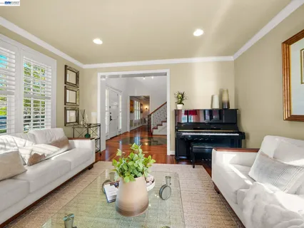 a view of a backyard with plants and a garden