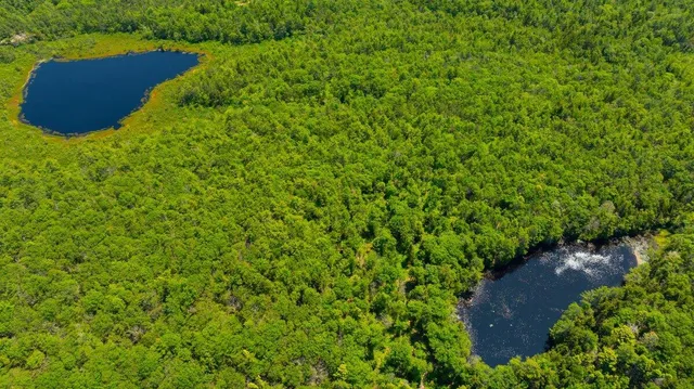 $400,000 | Lot #2 Rte 209 Main Road, Phippsburg, ME 04562