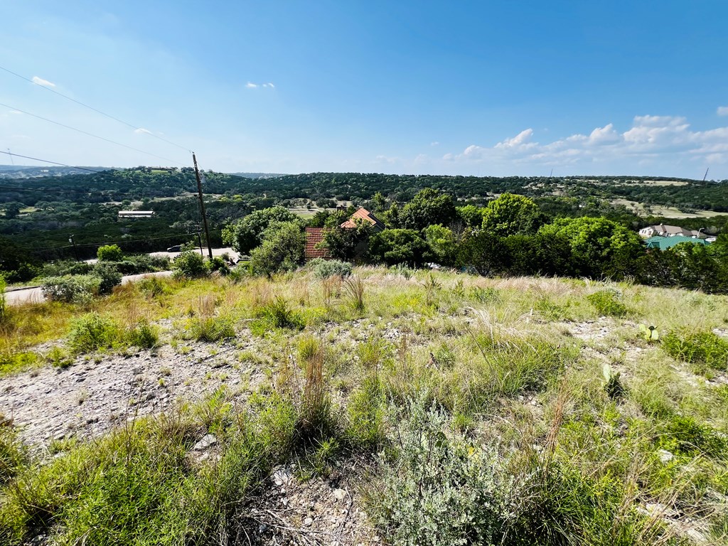 2120 Bluff Ridge Drive Kerrville, TX 78028 - Photo 4 of 6 a view of a lake with houses in the back