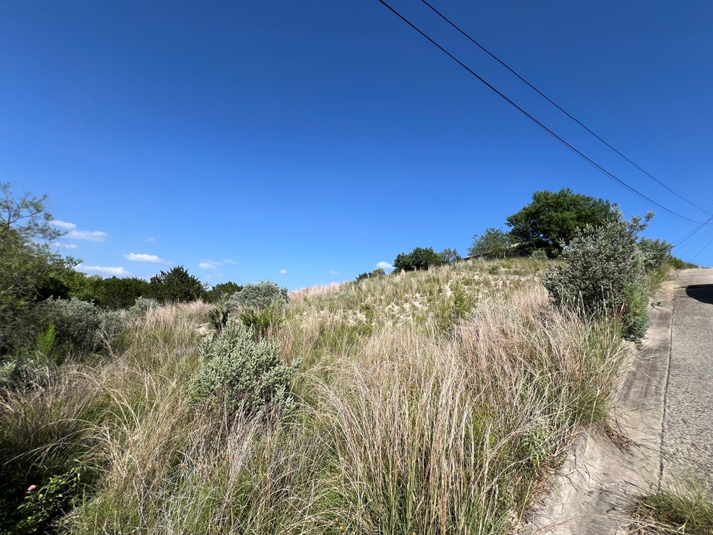 2120 Bluff Ridge Drive Kerrville, TX 78028 - Photo 6 of 6 a view of a dry yard with trees in the background