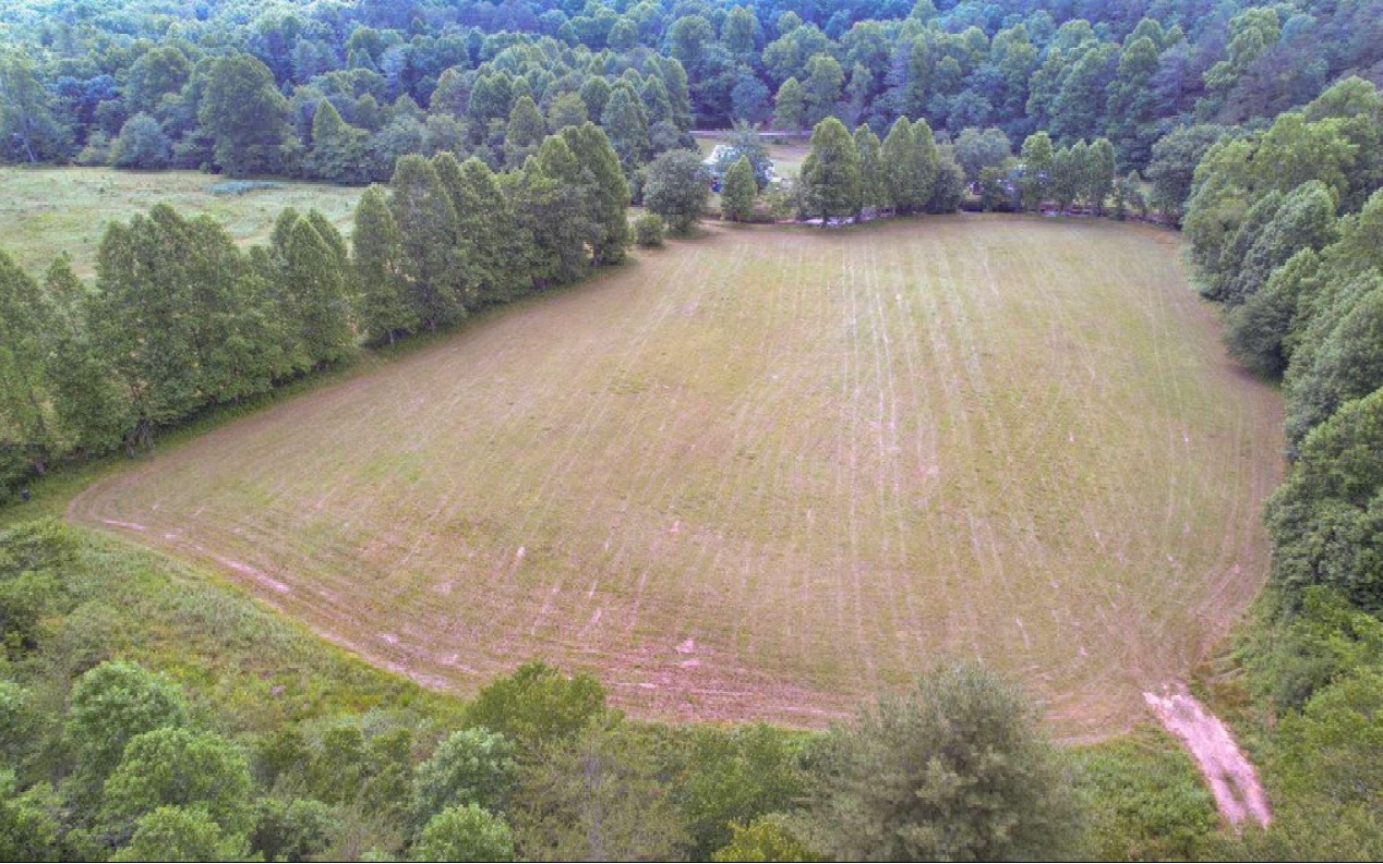 10.64 Stonefly Ridge Blue Ridge, GA 30513 - Photo 11 of 17 Additional View